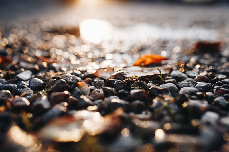 Surface level shot of pebbles at beach during sunset