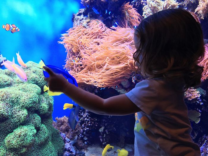 Girl with fish in aquarium
