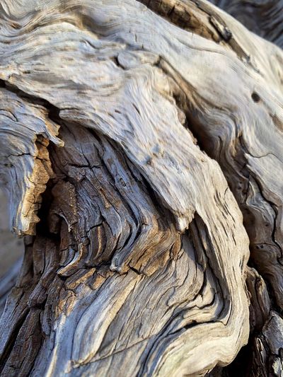 wood