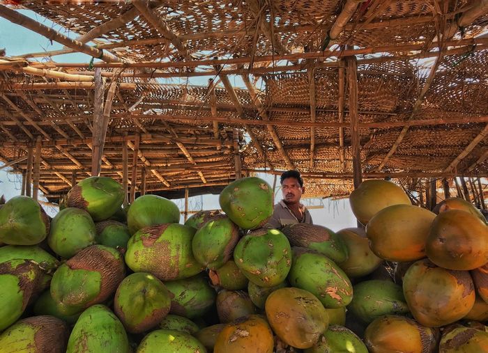 Coconuts for sale in market with man looking away in background