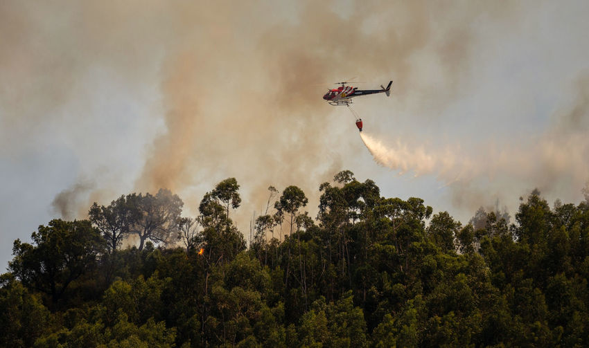 Firefighter helicopter fighting against a forest fire during day in braga, portugal.