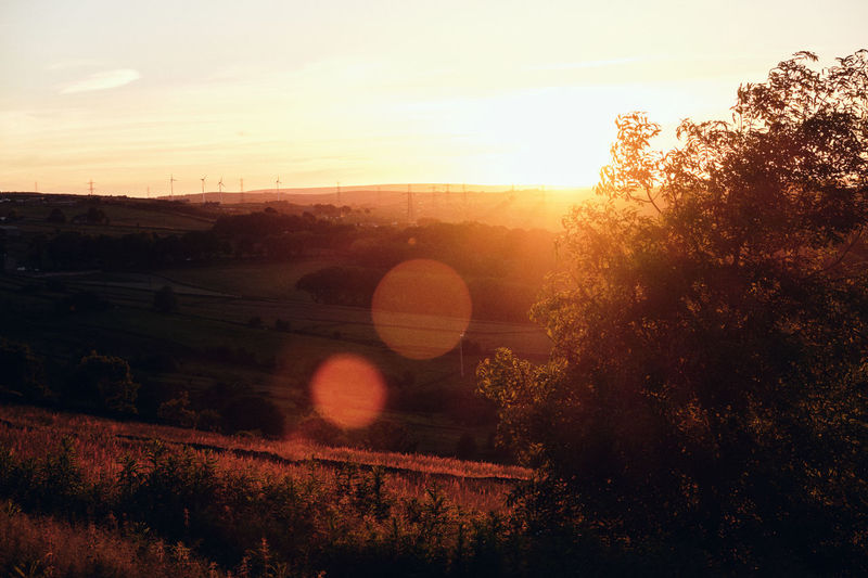 Scenic view of field against sky during sunset