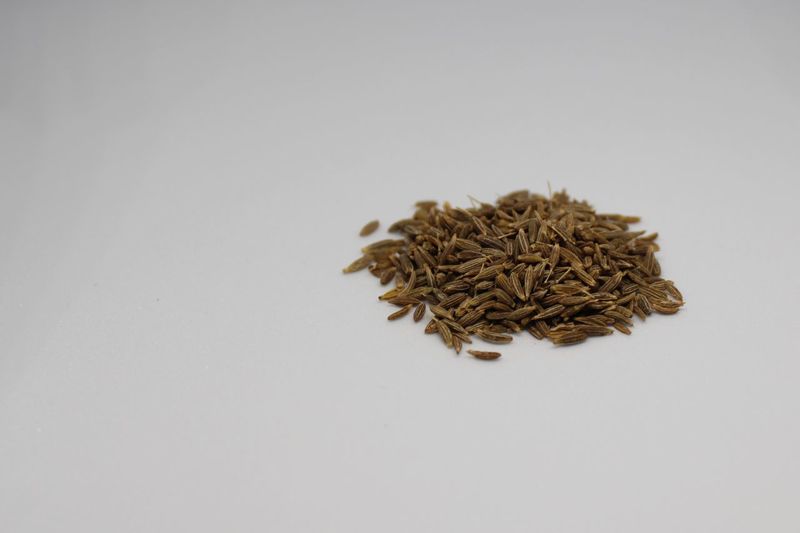 High angle view of dried plant against white background