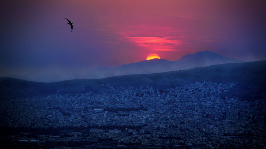 Silhouette bird flying against sky during sunset