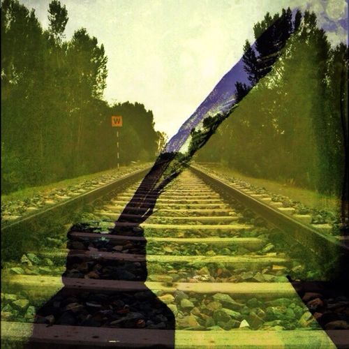 the way forward