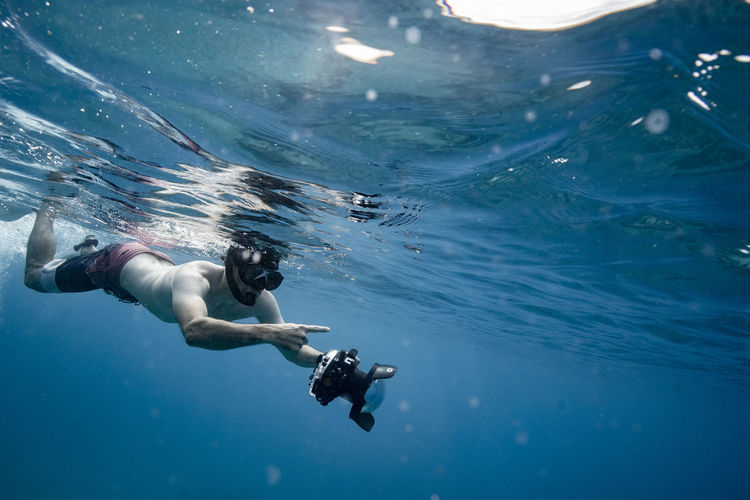 Underwater photographer spots something in the ocean of hawaii