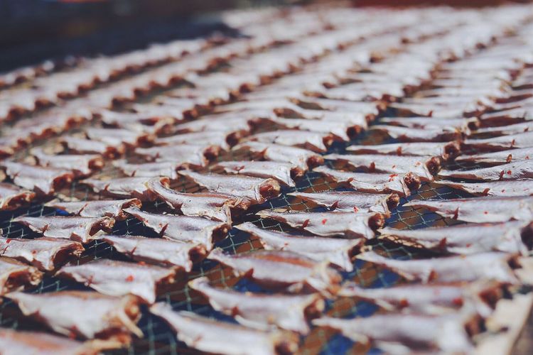 Dead fishes arranged at market for sale