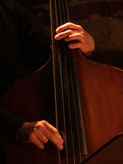 Cropped image of man playing cello