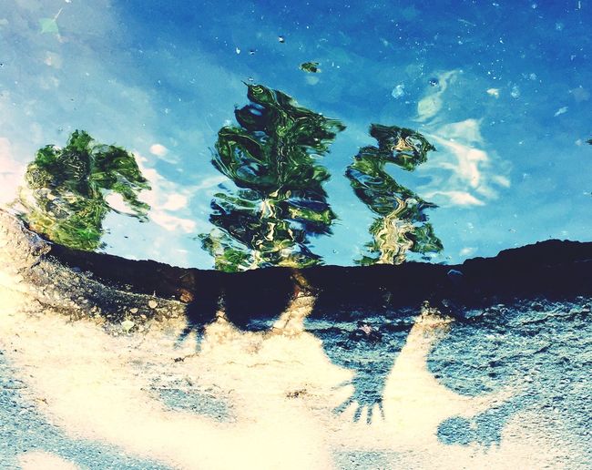 Low angle view of trees against sky
