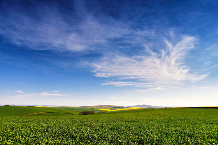 Scenic view of field against blue sky