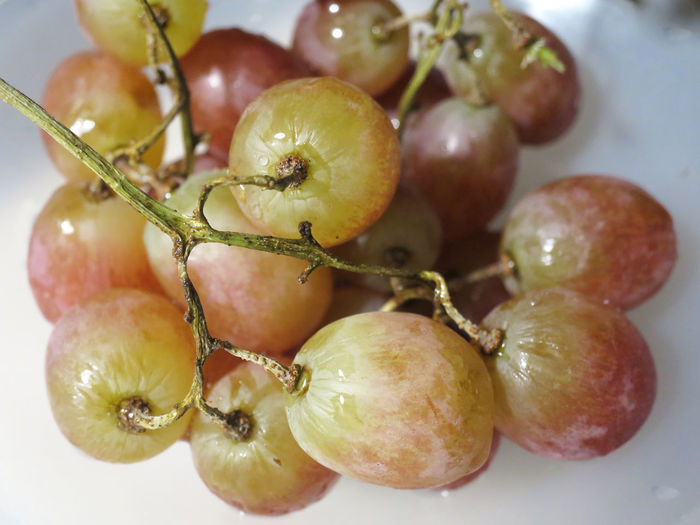 High angle view of grapes in plate