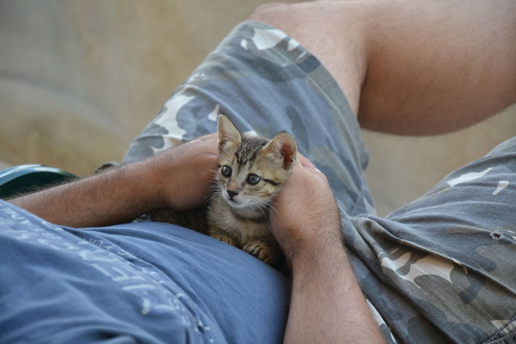 Close-up of man with kitten