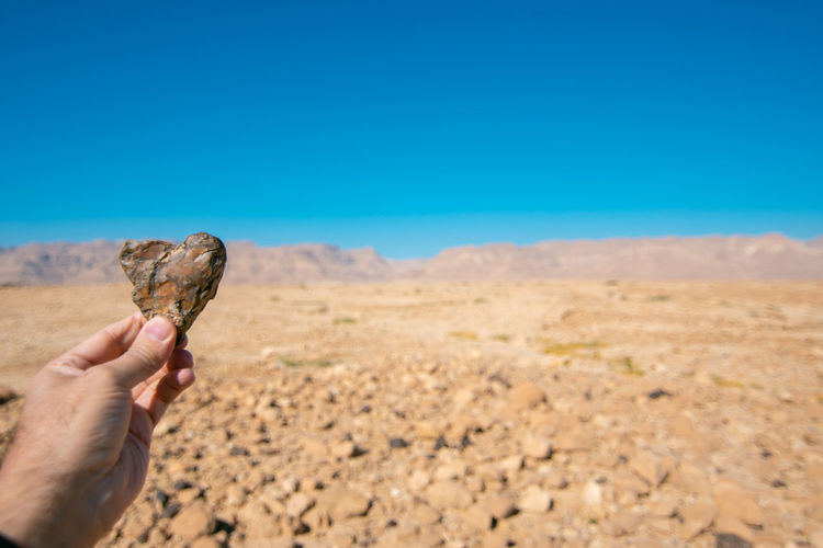 Person hand holding desert against clear sky