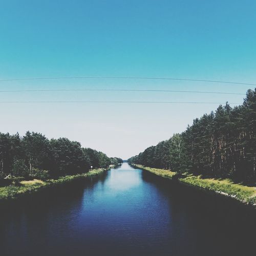 Reflection of trees in water