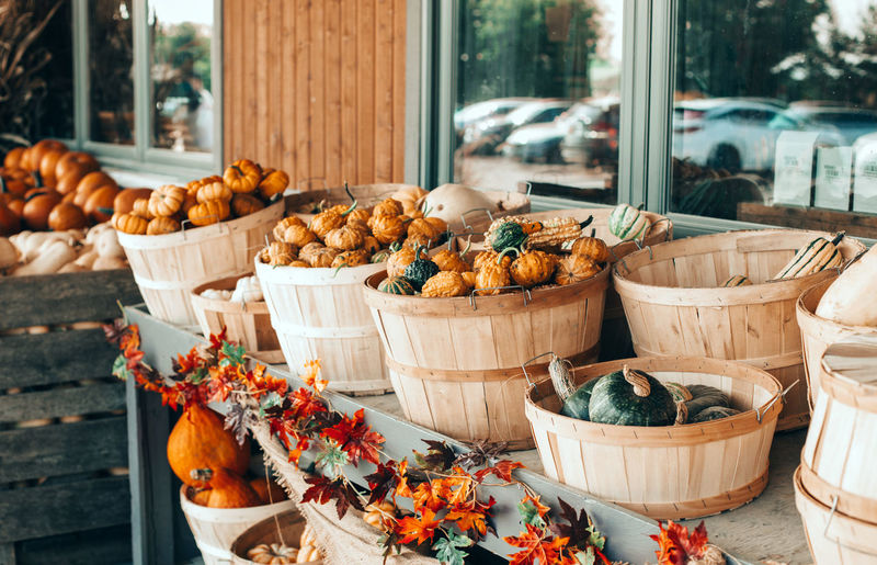 Red, green, white pumpkins in baskets on farm. autumn fall harvest. fresh seasonal vegetables