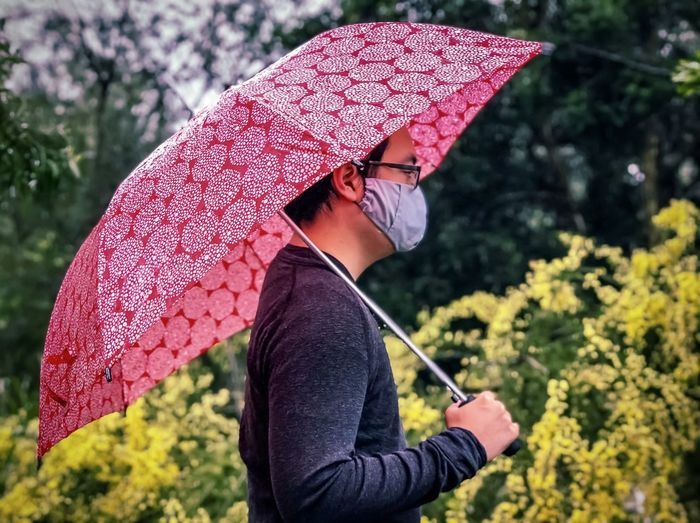 Midsection of man holding red umbrella against flowering golden wattle.