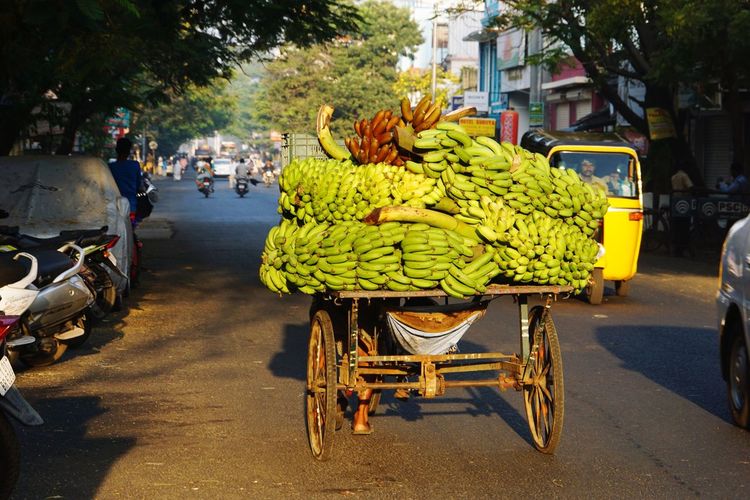 Bananas on cart in city