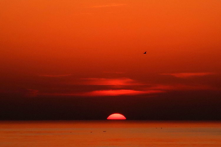 Scenic view of orange sunset sky over sea
