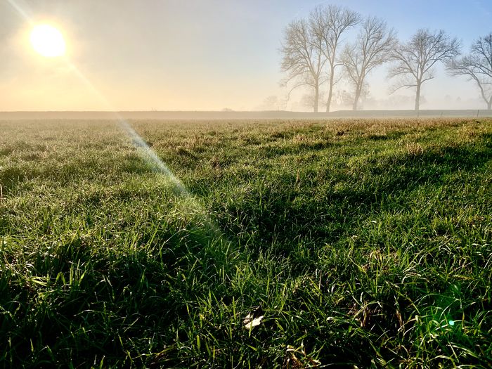 Scenic view of field against sky during sunset