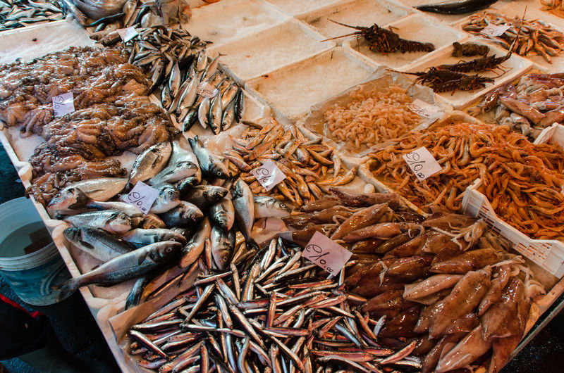 High angle view of fishes for sale at market stall