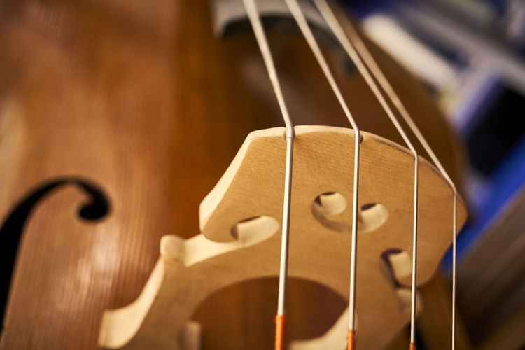 Strings of an old contrabass closeup
