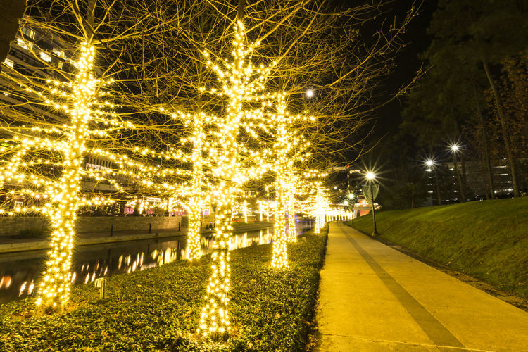 Bare trees decorated with illuminated lights by empty road during night