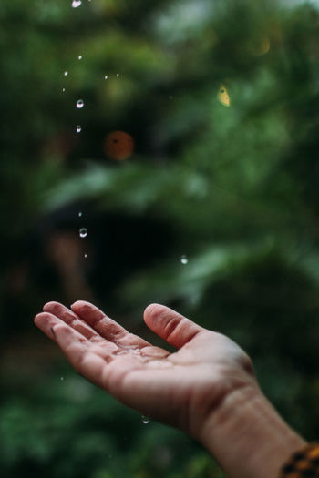 Close-up of person hand holding raindrops