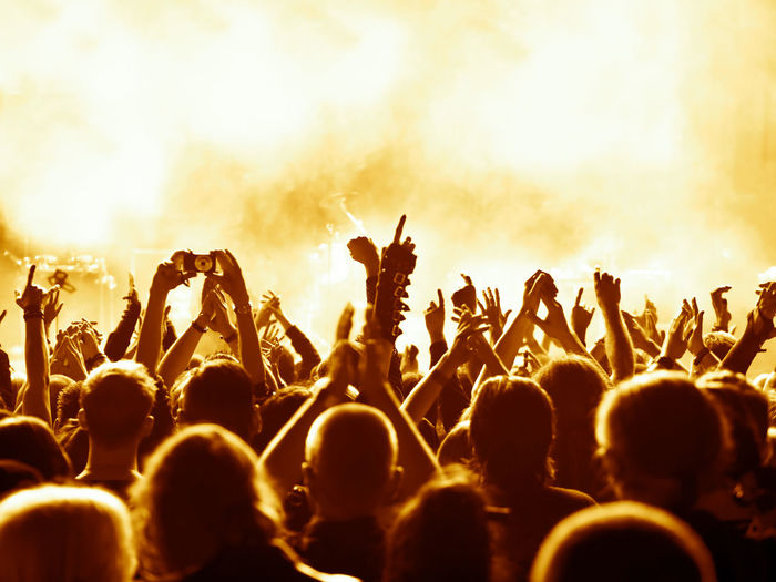 Rear view of crowd enjoying during music concert