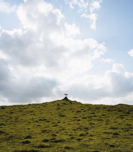 Scenic view of desert against sky