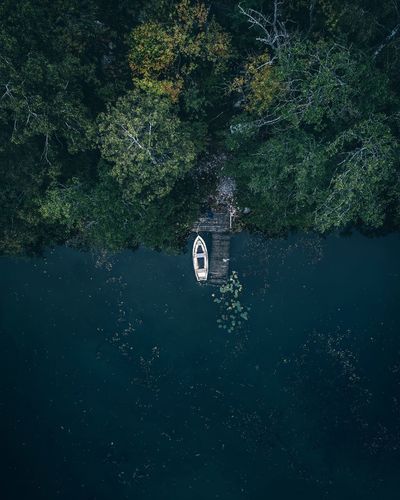 Aerial view of boat moored in lake at forest