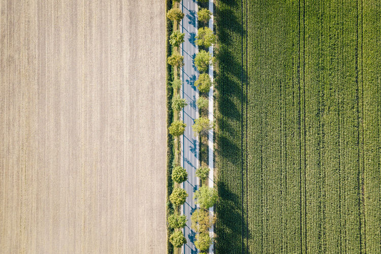Directly above shot of farms