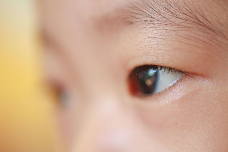 Close-up portrait of baby eye