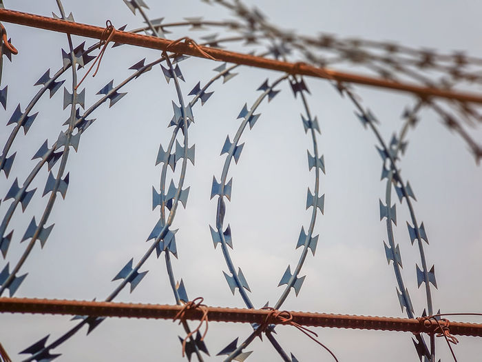 A close-up view of a tangled barbed wire - sharp razor wire