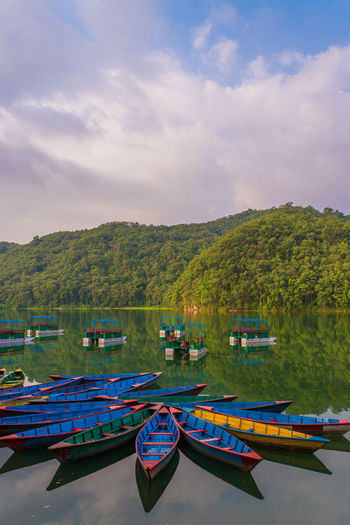 Boats moored in calm pokhara lake