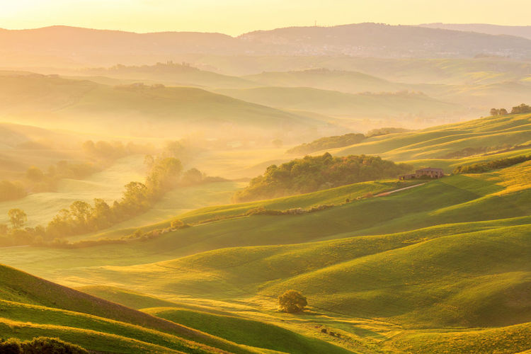 Morning fog in a rural valley