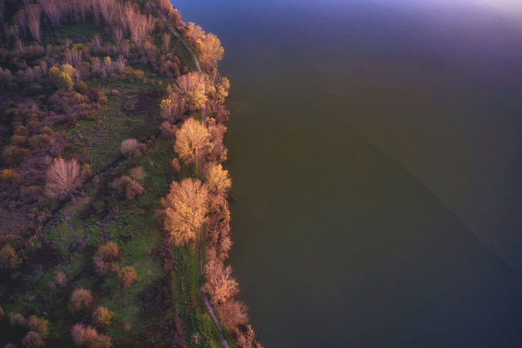 Aerial view of autumn trees by lake