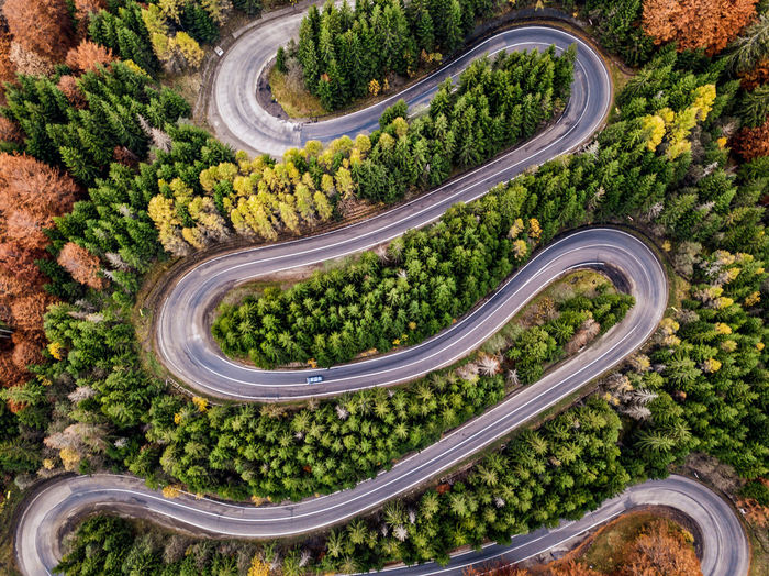 Aerial view of winding road amidst tree
