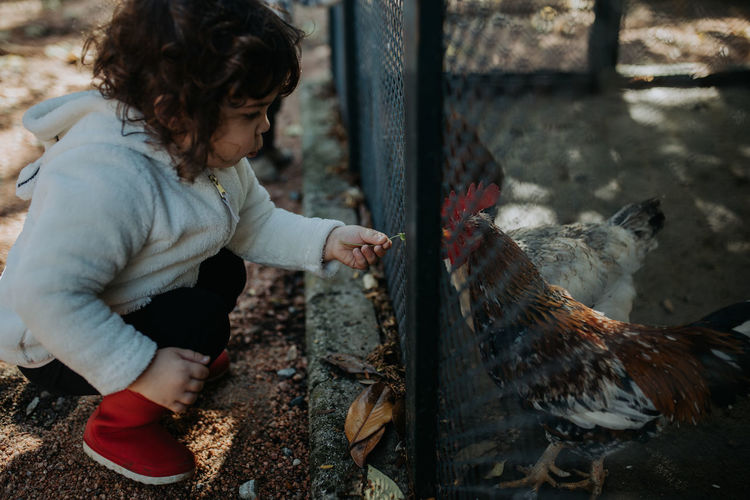 Rear view of child looking at bird