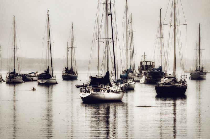 Sailboats moored on harbor against sky