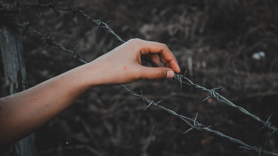 Cropped hand holding barbed wire