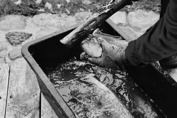 Cropped image of hand holding fish and wood on container
