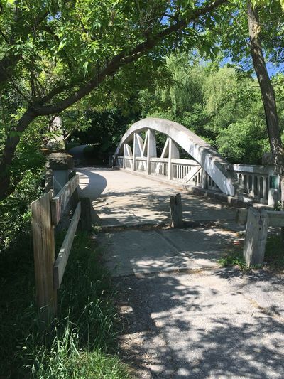 Bridge against trees