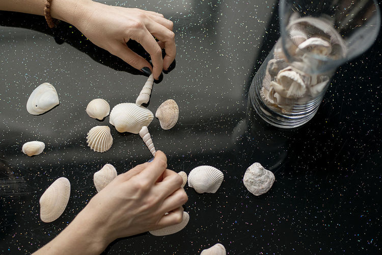 Close-up of hand arranging seashells on shiny table