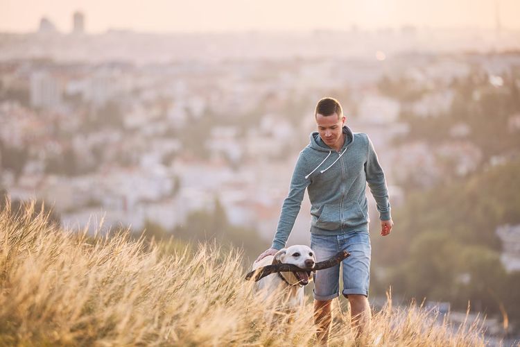 Man walking with dog on grassy field