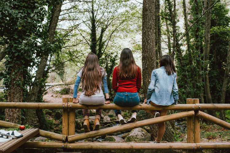 Rear view of women sitting on railing against trees in forest