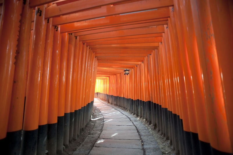 Torii gates at fushimi inari shrine
