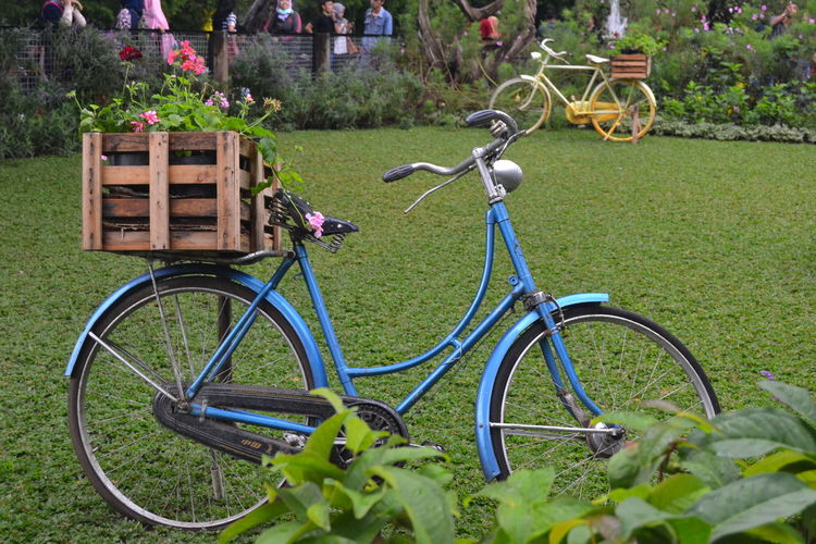 Bicycle parked by plants on field behind blurry leaf and background people