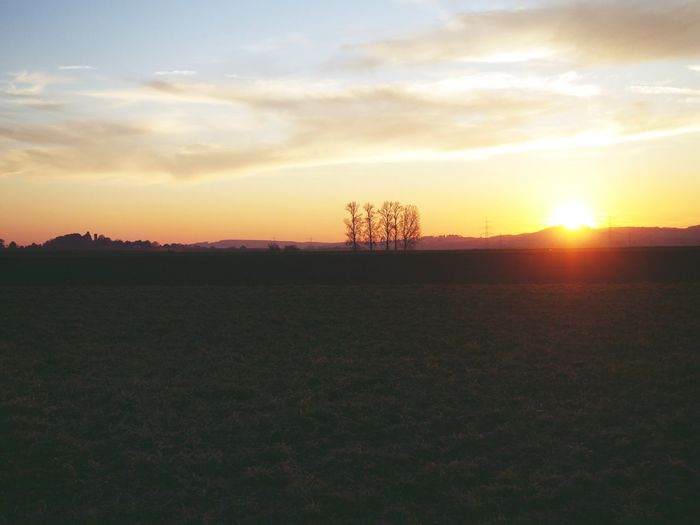 Scenic view of silhouette field against sky during sunset