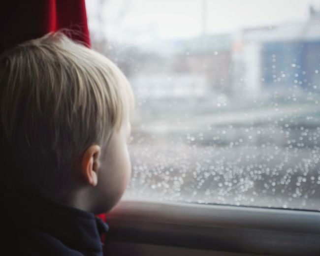 Rear view of boy looking through window of a train