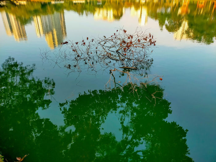 reflection